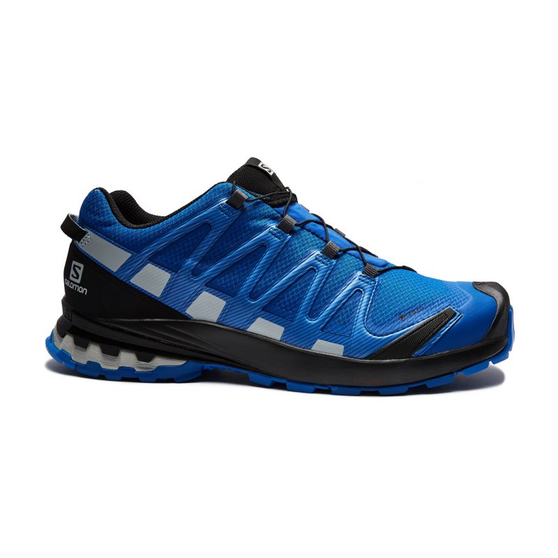 Кроссовки мужские SALOMON XA PRO 3D v8 Gore TEX