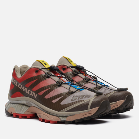 Кроссовки мужские Salomon Advanced  L47299500