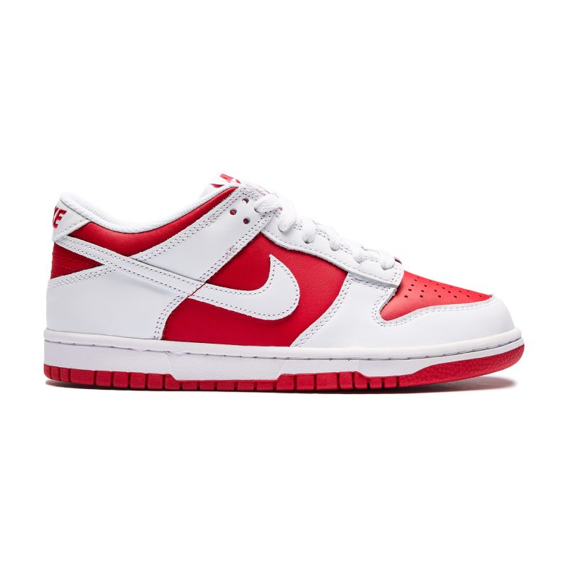 Кроссовки женские Nike DUNK LOBG