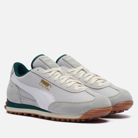 Кроссовки мужские Puma  401253-02-4_450X450.JPG