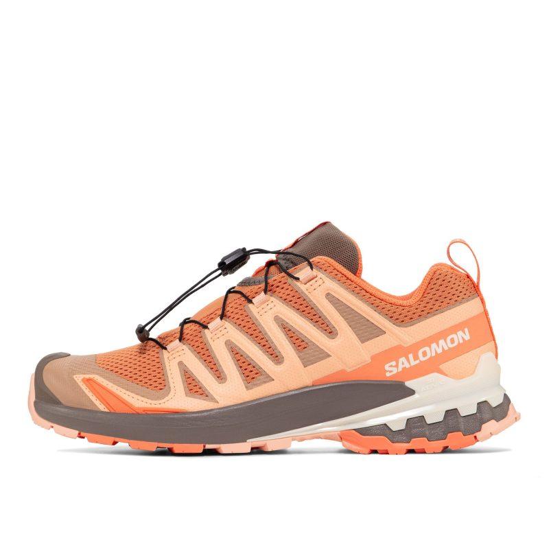 Женские кроссовки Salomon XA Pro 3D V9 коричневые