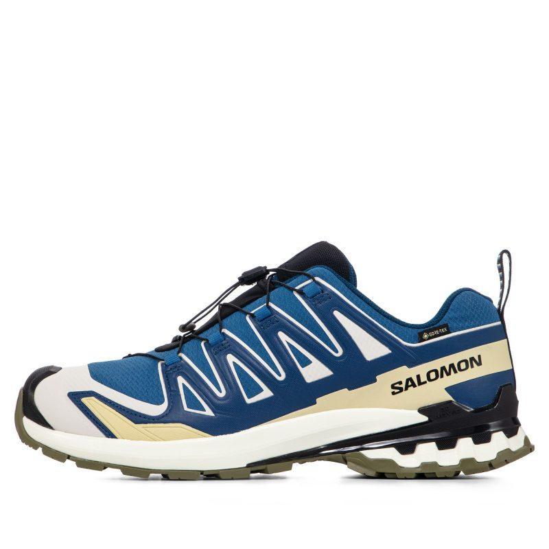 Мужские кроссовки Salomon XA Pro 3D V9 GORE-TEX
