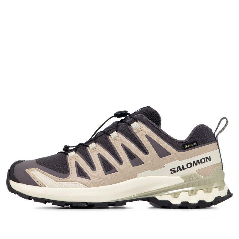 Женские кроссовки Salomon XA Pro 3D V9 Gore-Tex серые