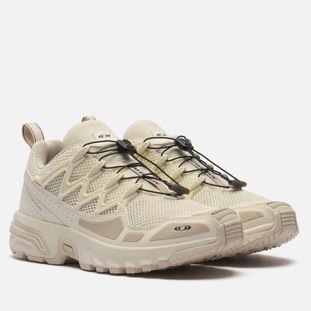 Кроссовки мужские Salomon Advanced  L47134400